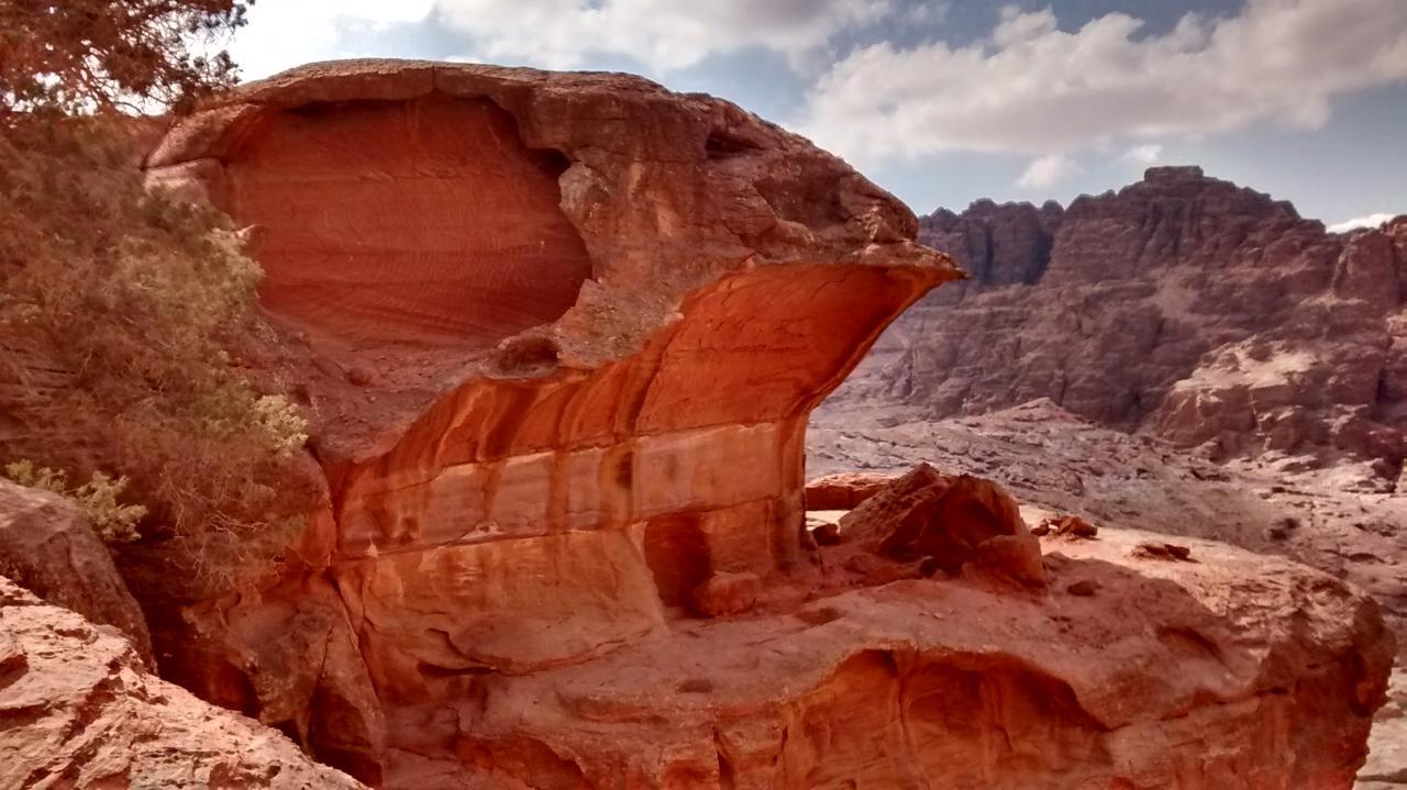Petra Bedouin Bed And Breakfast Wadi Musa Exterior photo